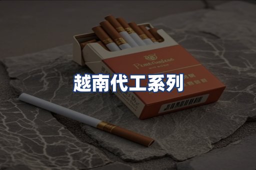 越南代工系列
